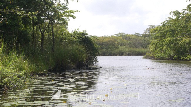 Belize Flusslandschaft